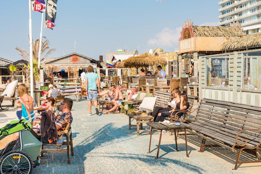 Cute Beach House Zandvoort Exteriér fotografie